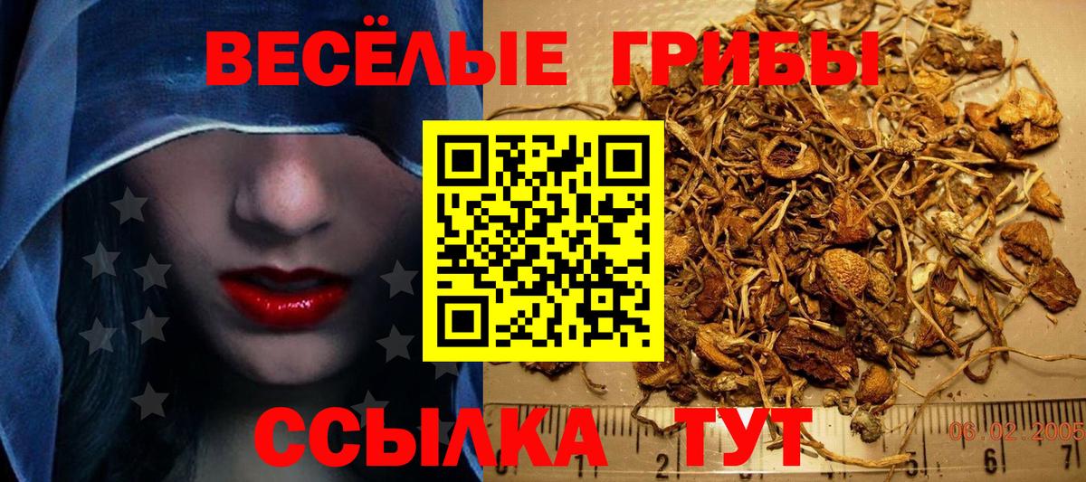 Псилоцибиновые грибы Psilocybine cubensis Тольятти