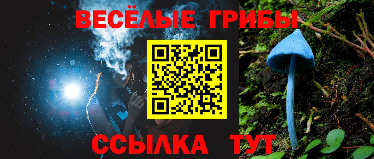 Псилоцибиновые грибы Psilocybe  Псилоцибиновые грибы Magic Shrooms  Тольятти  Вход с VPN 